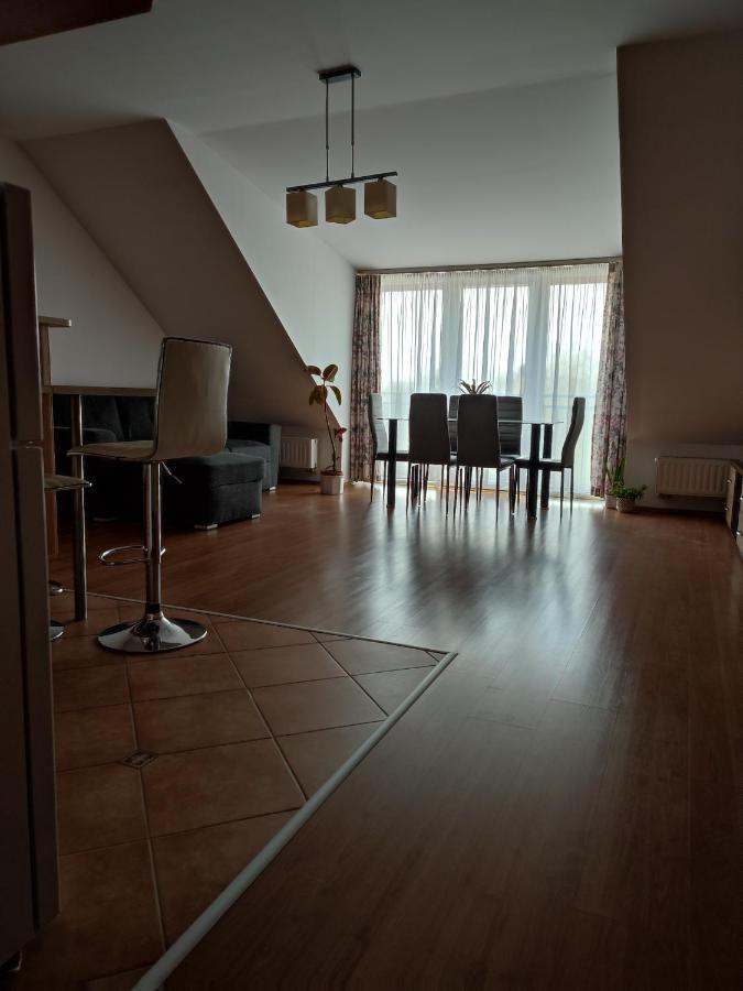 Larix Apartman Sarvar Exterior photo